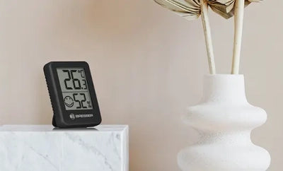 ROOM THERMOMETER BUCHE MAHAG