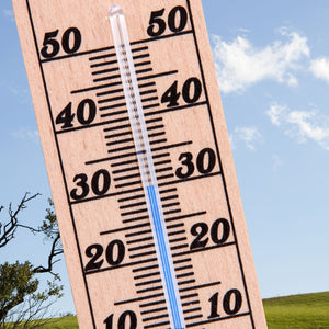 ROOM THERMOMETER BUCHE NATUR
