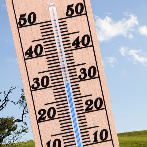 ROOM THERMOMETER BUCHE NATUR