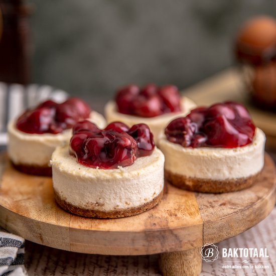 PATISSE MINI CHEESE CAKE 6IN1 8CM