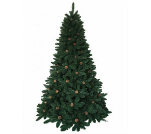 CHRISTMAS TREE ,CANADIAN 2,1M