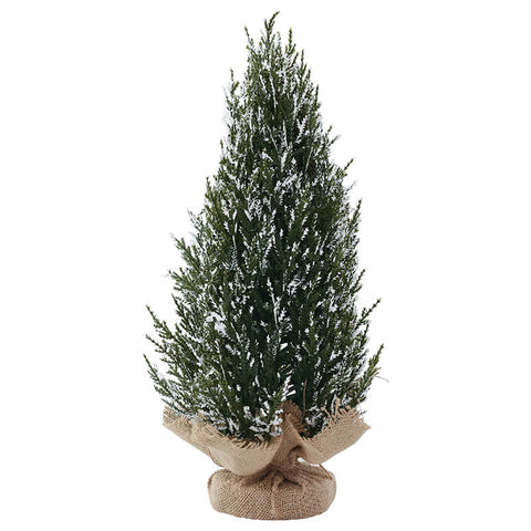 TN XMAS TREE 42CM