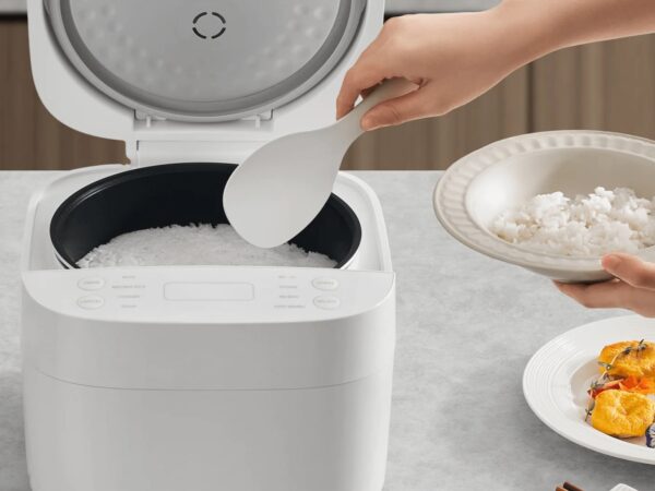 XIAOMI SMART MULTIFUNCTIONAL RICE COOKER